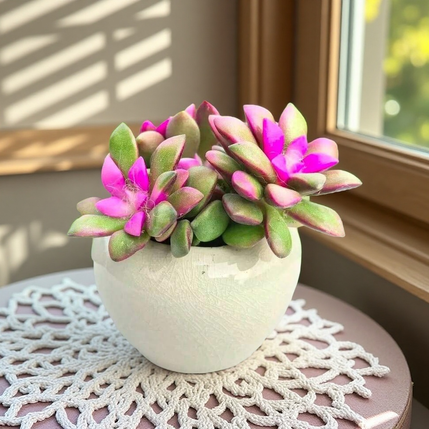 Pink Bloom Style Succulent Arrangement, Live Succulent Plant in Pot, Flower Inspired Succulent, Cute Indoor Plant, Aesthetic Planter Decor, Gift for Plant Lovers