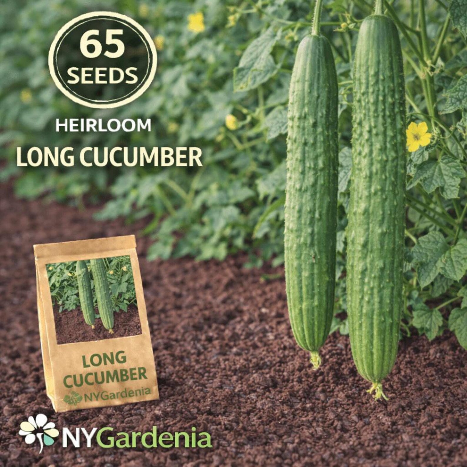 65 Heirloom Long Cucumber Seeds High Yield Fast Growing Easy to Grow Fresh Eating for Container Planting Home Garden Outdoor Beds Trellis Growing