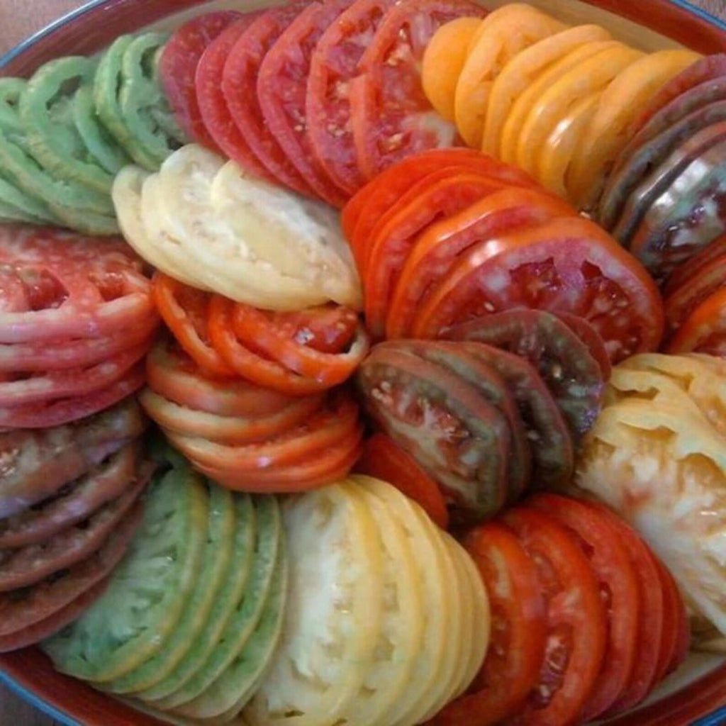 300 Count Heirloom Non-GMO Beefsteak Tomato Seeds High Yield Easy to Grow Large Succulent Fruits for Slicing Cooking Home Gardens Professional Growers
