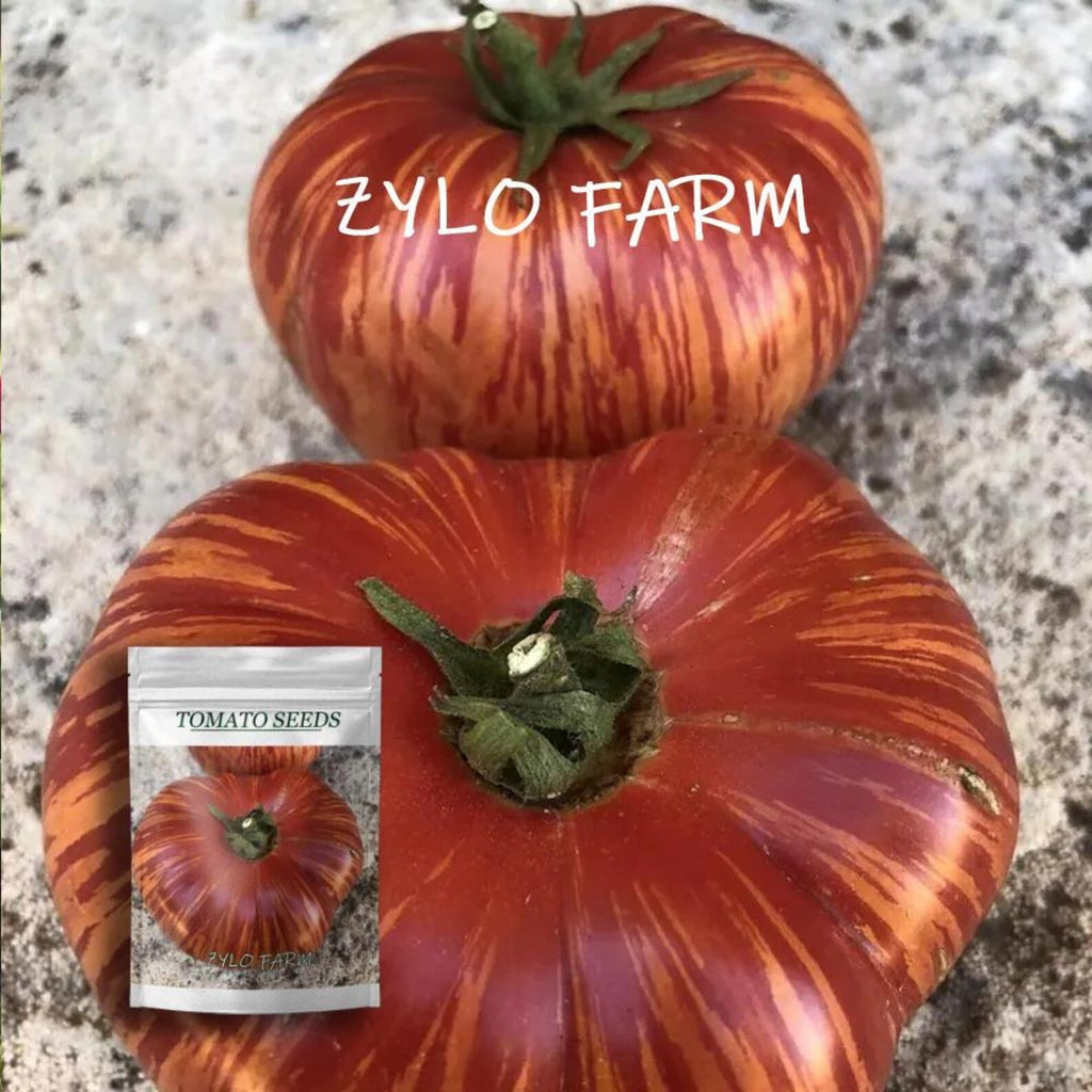 Vintage Wine Tomato Seeds Heirloom NON-GMO High Yield Fresh Eating Easy to Grow for Home Garden Container Planting Outdoor Growing