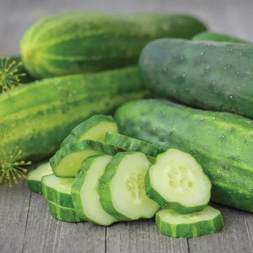 171 Pieces Burpee Straight Eight Thin-skinned Cucumber Seeds Non-GMO Open-Pollinated High Yield Fresh Eating for Outdoor Garden Container Planting