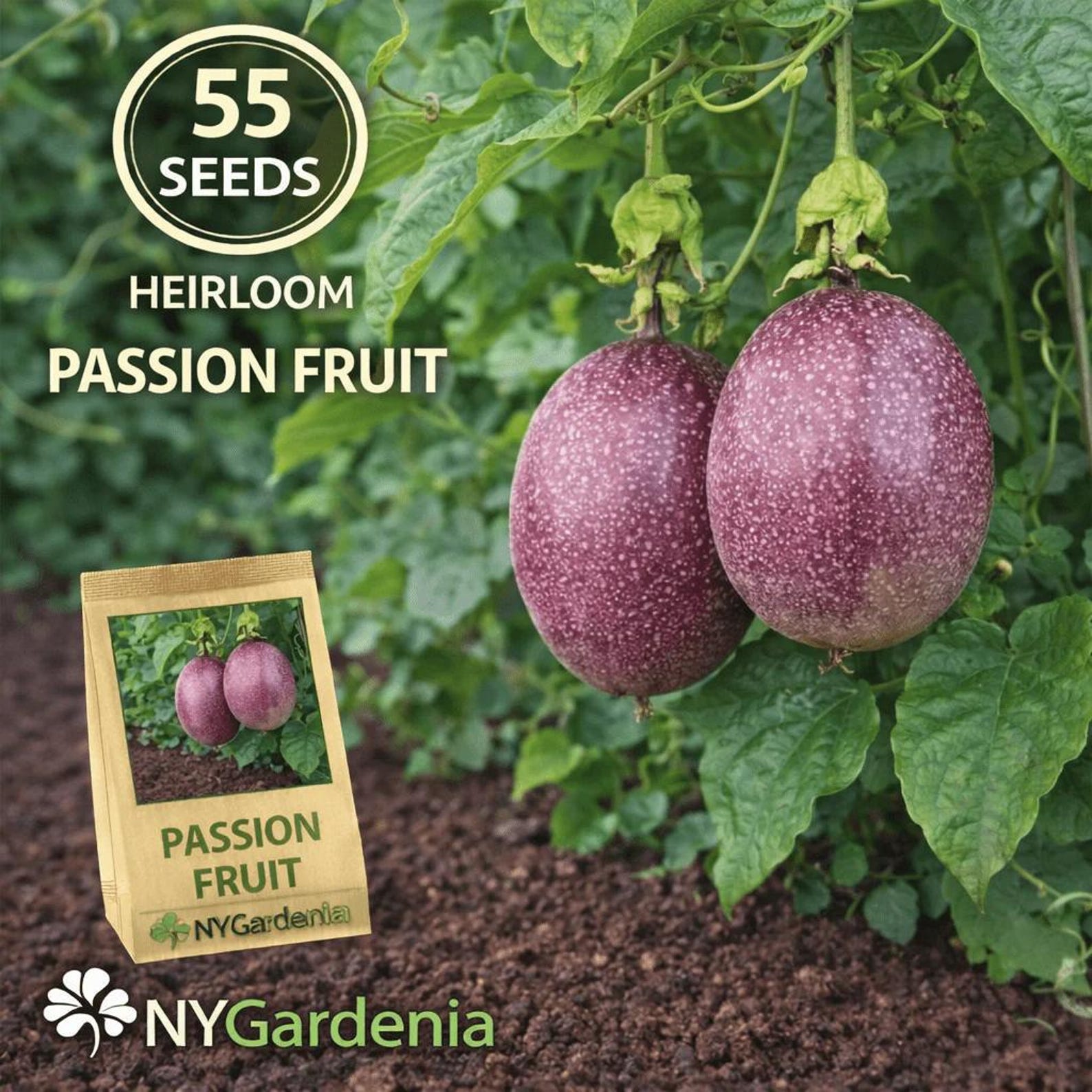 55 Count Heirloom Passion Fruit Seeds Non-GMO Tropical Vine Seeds for Home Fruit Garden Planting Fresh Eating