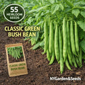 55 Count Organic Heirloom Classic Green Bush Bean Seeds Open-Pollinated Compact Bush Plants Tender Green Pods Fresh Eating for Home Garden Planting