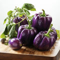 139PCS Organic Non-GMO Heirloom Sweet Pepper Seeds Fast Growing Easy to Grow Vegetable Seeds for Outdoor Indoor Home Garden Planting