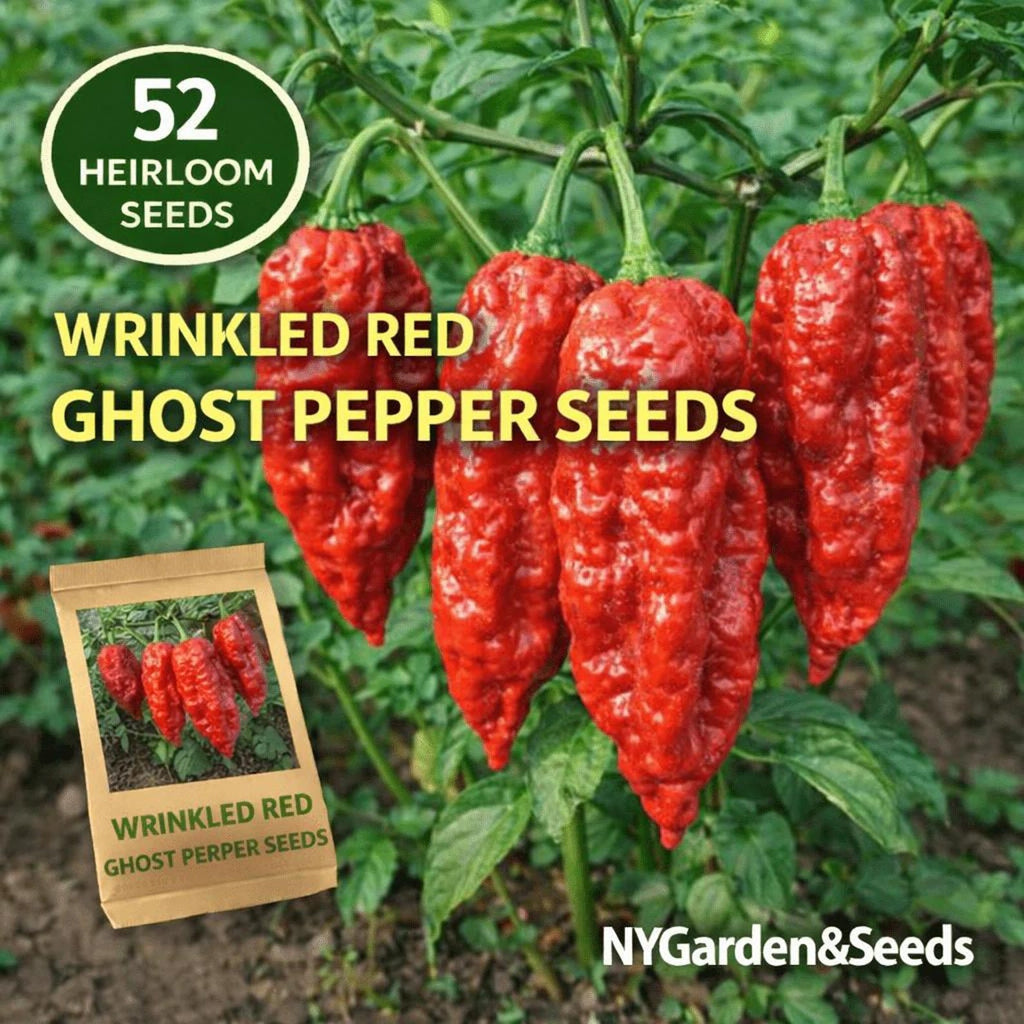 52 Count Heirloom Non-GMO Rare Wrinkled Red Ghost Pepper Seeds High Yield Extra Hot Chili Seeds for Home Garden Outdoor Planting Fresh Eating