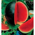 209 Pieces Sugar Baby Watermelon Seeds Heirloom Non-GMO Open-Pollinated Sweet Fruit Seeds for Home Garden Container Planting Homegrown Fresh Melons