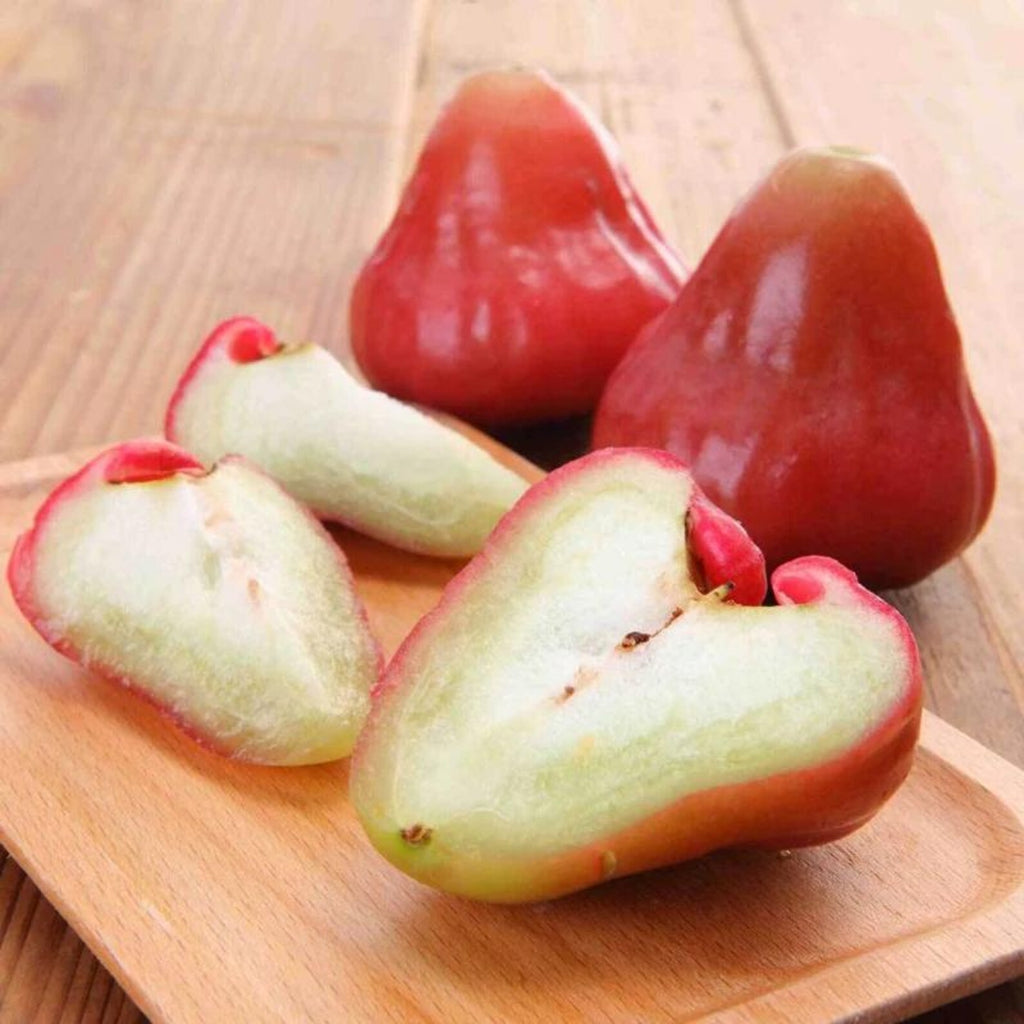 68 Pieces Rare Heirloom Wax Apple Seed Non-GMO Easy to Grow Rare Fruit Seeds for Home Garden Container Planting Fresh Eating