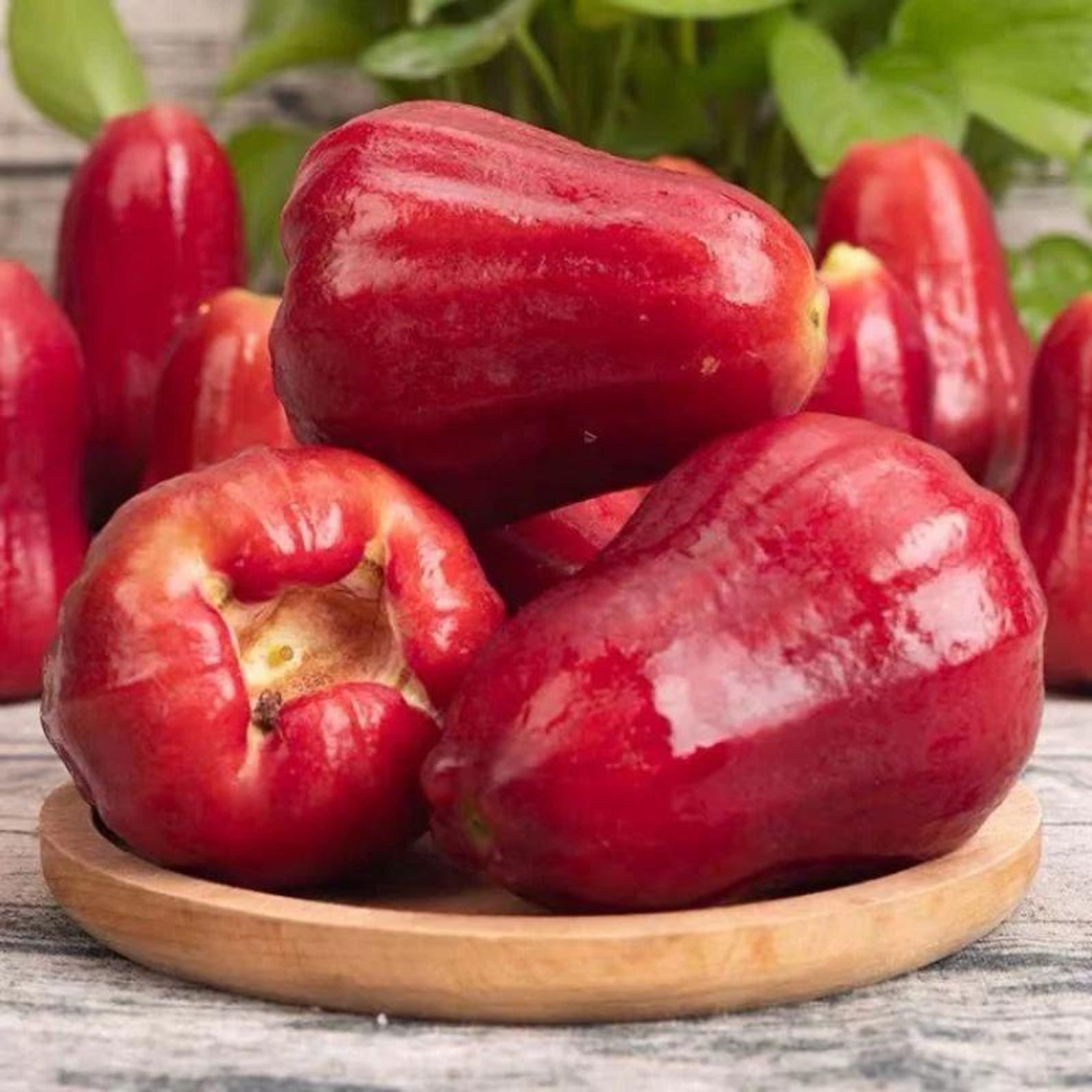 68 Pieces Rare Heirloom Wax Apple Seed Non-GMO Easy to Grow Rare Fruit Seeds for Home Garden Container Planting Fresh Eating