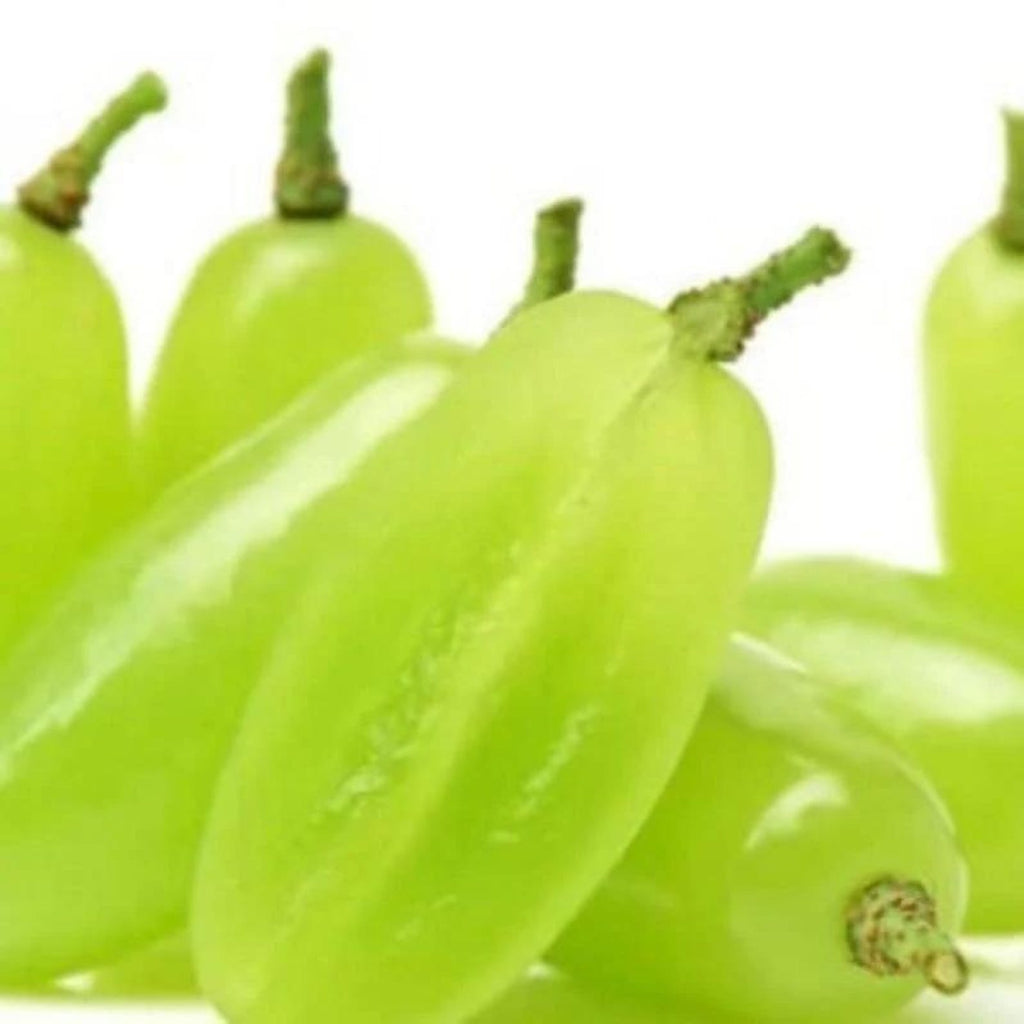 155 PCS Non-GMO Open-Pollinated Heirloom Assorted Sweet Fruit Vegetable Seeds for Home Garden Container Planting Fresh Eating