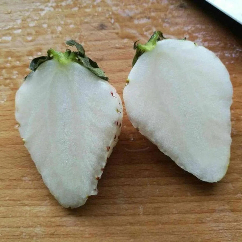 200 Count Non-GMO Organic Milk Strawberry Seeds Rare Fast Growing Easy to Grow Vegetable Seeds for Home Garden Containers Seasonal Planting