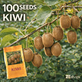 100 Pieces Heirloom Non-GMO Kiwi Fruit Vine Seeds Organic Premium Easy Growing for Garden Outdoor Container Planting Fresh Eating