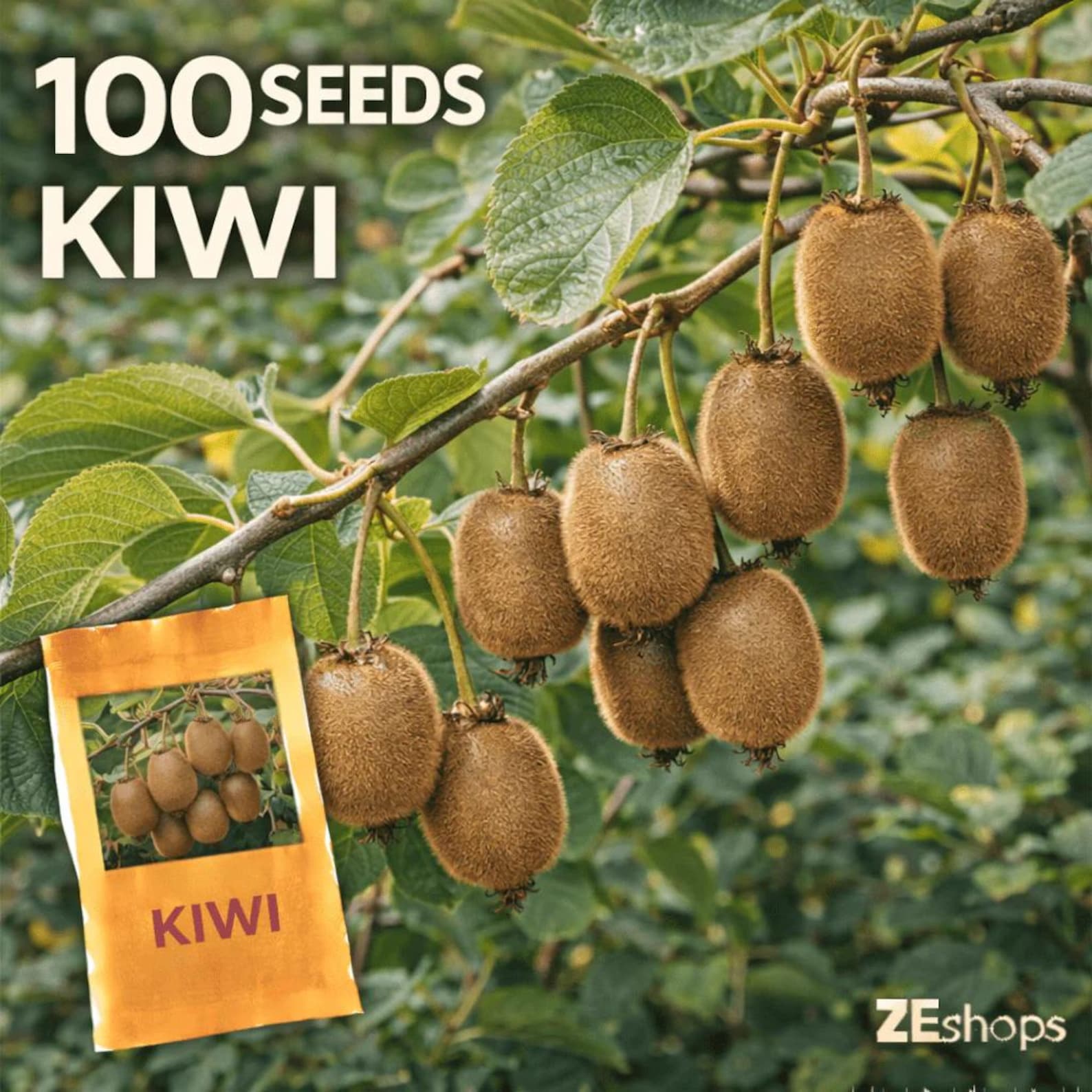 100 Pieces Heirloom Non-GMO Kiwi Fruit Vine Seeds Organic Premium Easy Growing for Garden Outdoor Container Planting Fresh Eating
