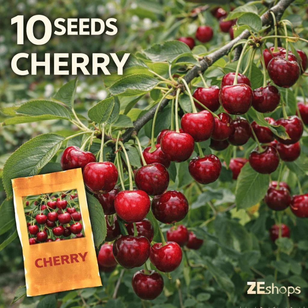 Premium Non-GMO High Yield Open-Pollinated Cherry Fruit Seeds Fast Growing for Home Garden Outdoor Container Planting Fresh Eating