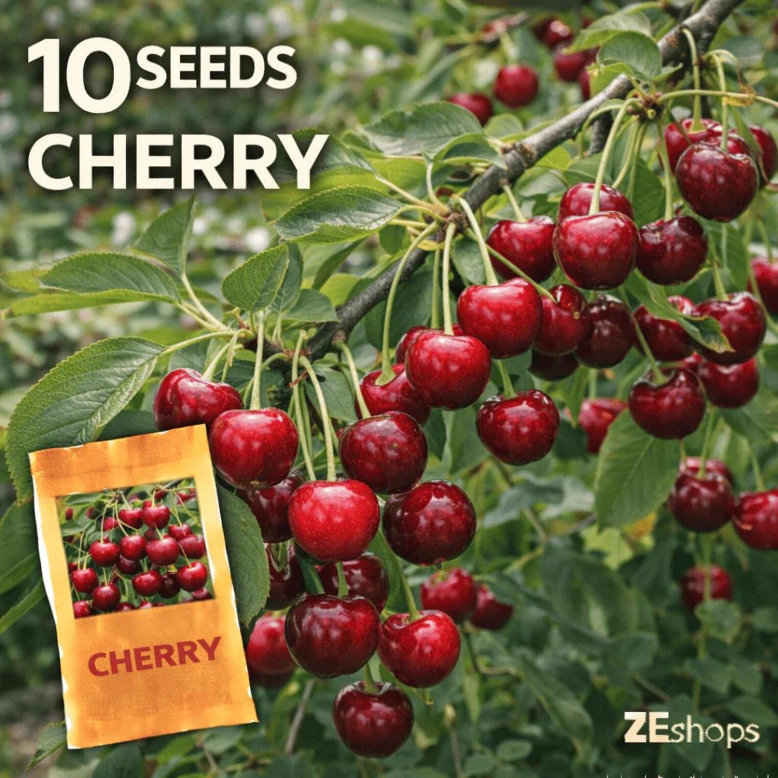 Premium Non-GMO High Yield Open-Pollinated Cherry Fruit Seeds Fast Growing for Home Garden Outdoor Container Planting Fresh Eating