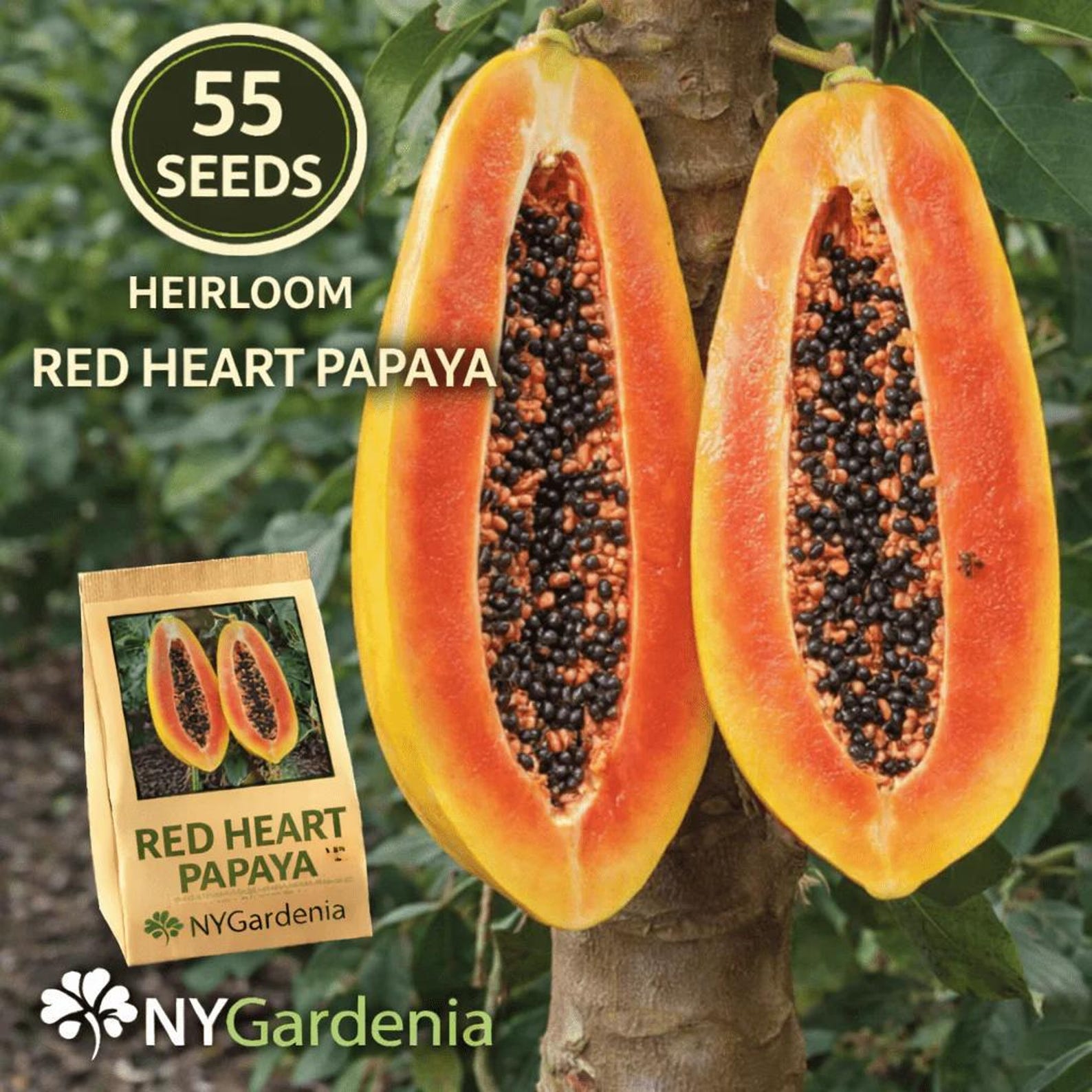 55 Heirloom Organic Red Heart Papaya Seeds Premium Fast Growing Tropical Fruit Tree Seeds Easy to Grow for Home Garden Container Planting Fresh Eating