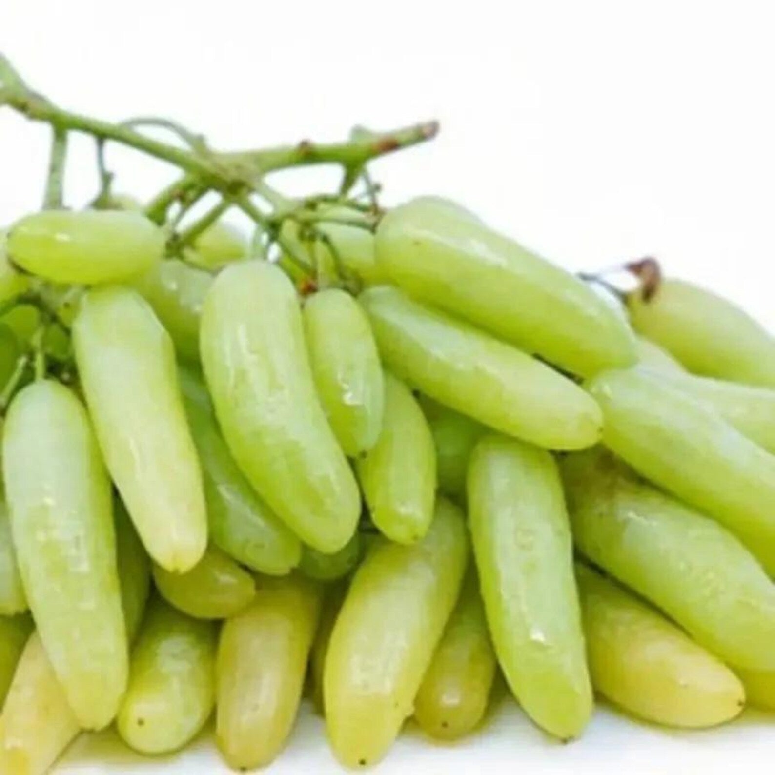 58 Pieces Premium Organic Traditional Variety Rare Finger Grape Seeds Open-Pollinated Sweet Fruit Seeds Fast Growing Easy to Grow for Home Garden Planting