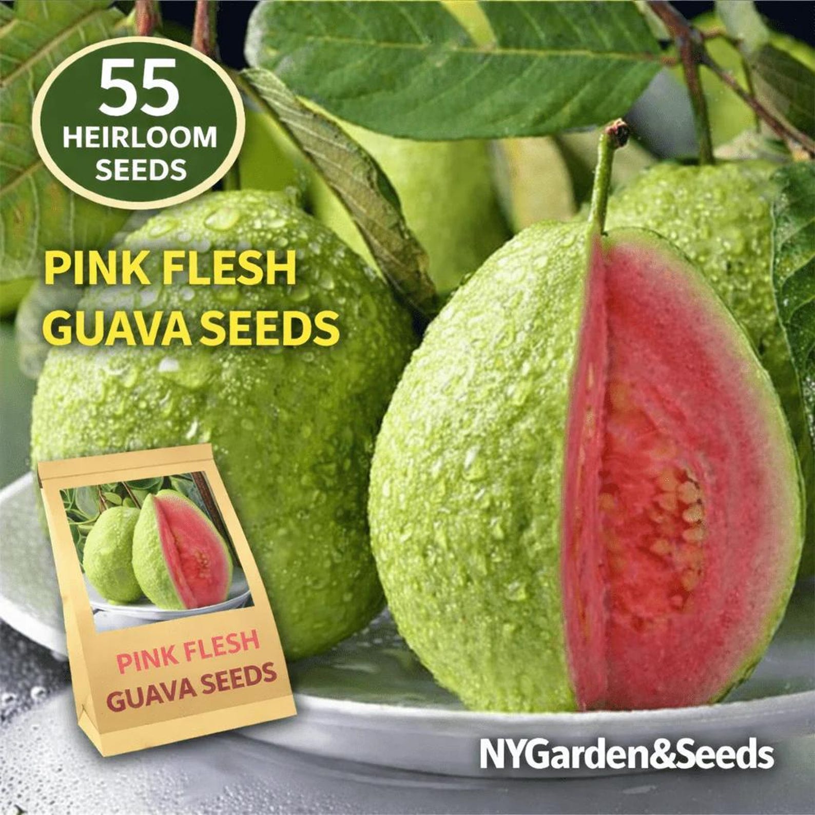 Premium Non-GMO Heirloom 55 Pink Flesh Guava Seeds High Yield Fast Growing Easy to Grow Rare Guava Seeds for Home Garden Planting Fresh Eating