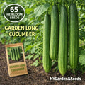 65 Count Heirloom Organic High Yield Garden Long Cucumber Seeds Fast Growing Open-Pollinated for Container Planting Outdoor Fresh Eating