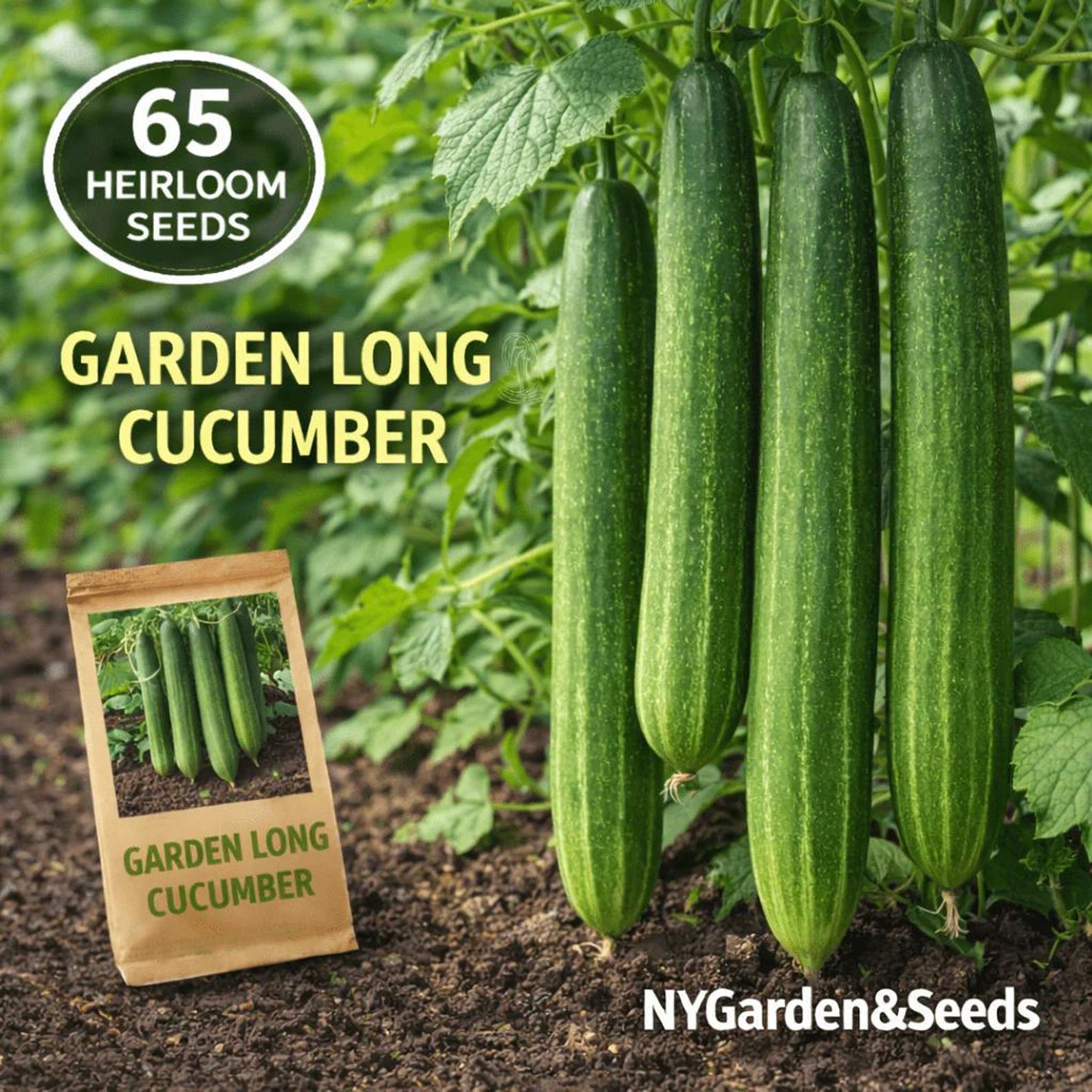 65 Count Heirloom Organic High Yield Garden Long Cucumber Seeds Fast Growing Open-Pollinated for Container Planting Outdoor Fresh Eating
