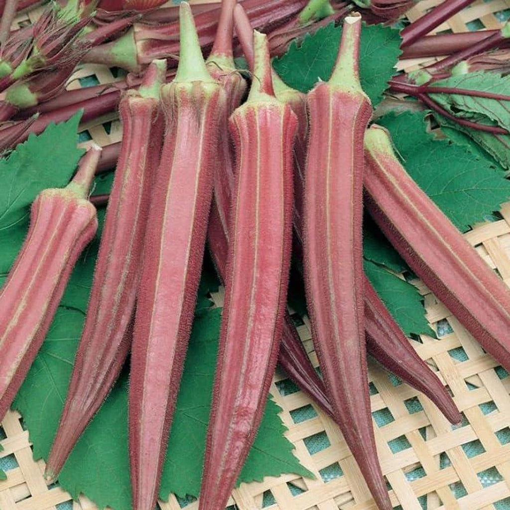 200 Count Organic Non-GMO Okra Seeds High Yield Fast Growing Steady Germination Rate Fresh Eating Vegetable Seeds for Home Garden Container Planting