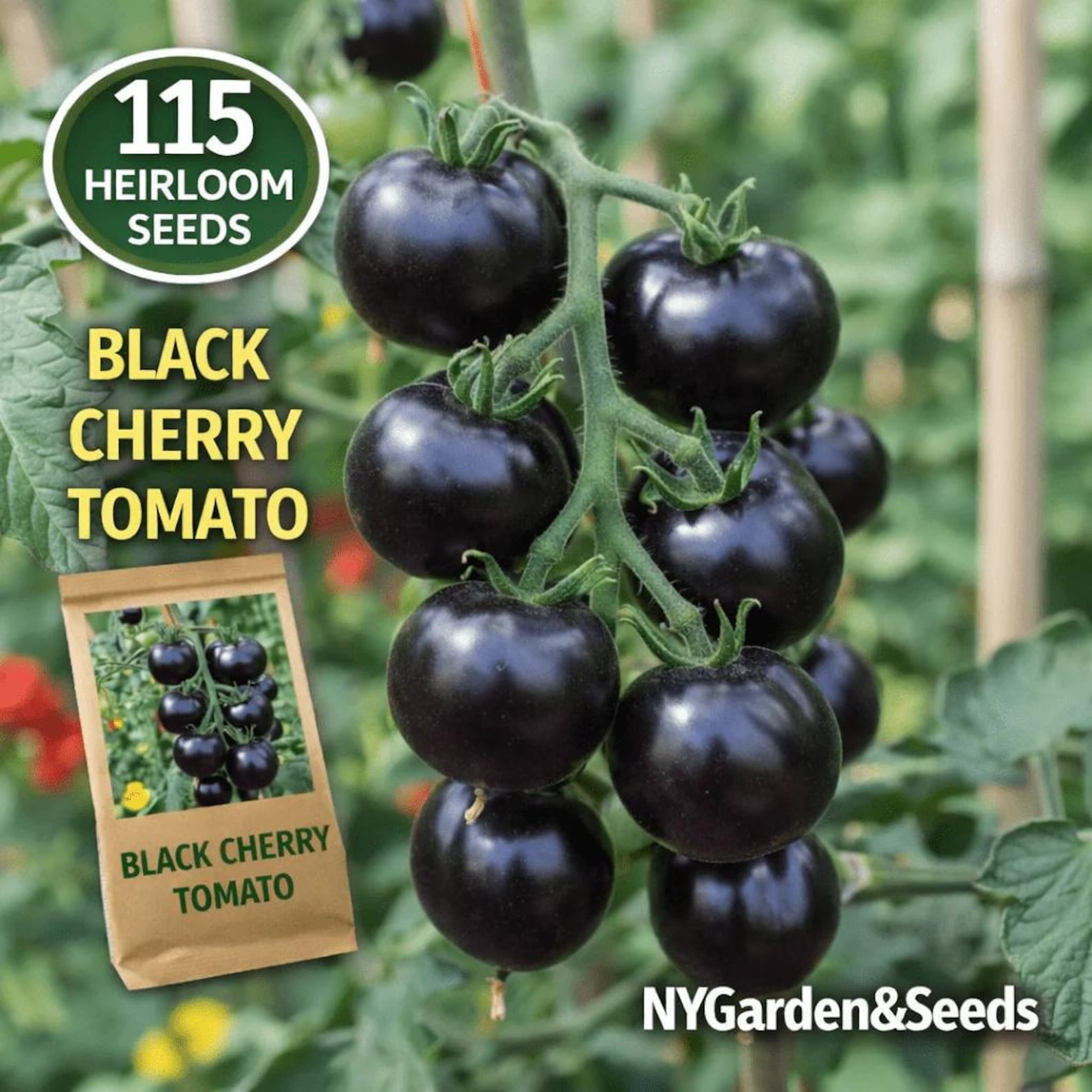 115 Heirloom Fast Growing High Yield Black Cherry Tomato Seeds Rich Dark Skin Easy to Grow Fresh Eating for Container Planting Home Garden