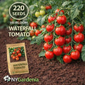 220 Heirloom Fast Growing High Yield Waterfall Cherry Tomato Seeds Easy to Grow Fresh Eating for Container Planting Home Garden Outdoor Growing