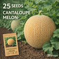 25 Fast Growing High Yield Cantaloupe Melon Seeds Sweet Orange Flesh Easy to Grow Fresh Eating for Container Planting Home Garden Planting