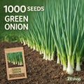 1000 Green Onion Seeds Fast Growing Easy to Grow High Yield Fresh Eating Bunching Scallion Seeds for Home Garden Container Planting
