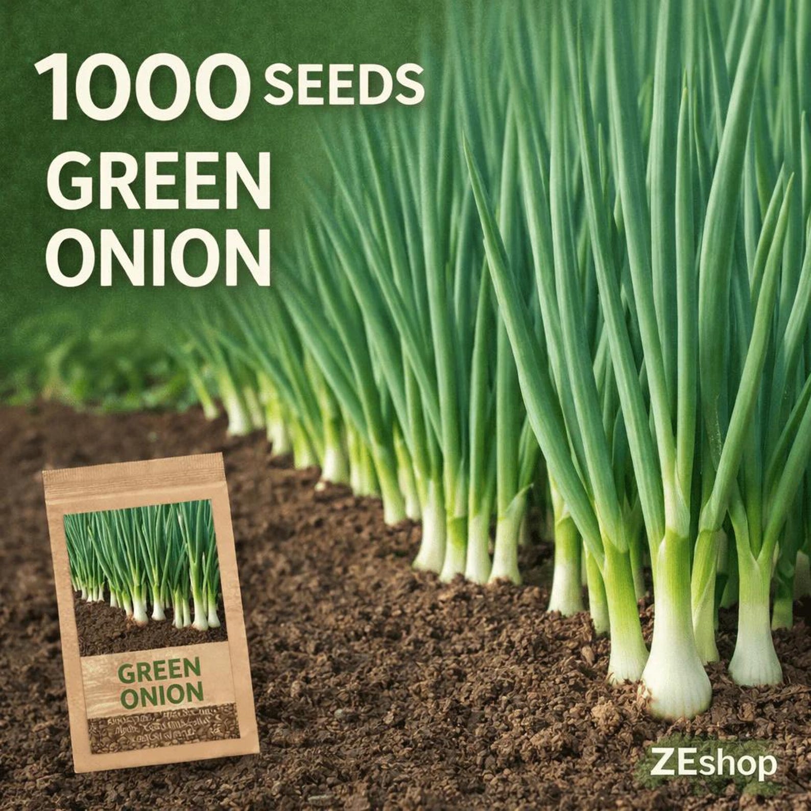 1000 Green Onion Seeds Fast Growing Easy to Grow High Yield Fresh Eating Bunching Scallion Seeds for Home Garden Container Planting