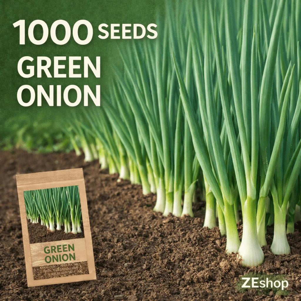 1000 Green Onion Seeds Fast Growing Easy to Grow High Yield Fresh Eating Bunching Scallion Seeds for Home Garden Container Planting