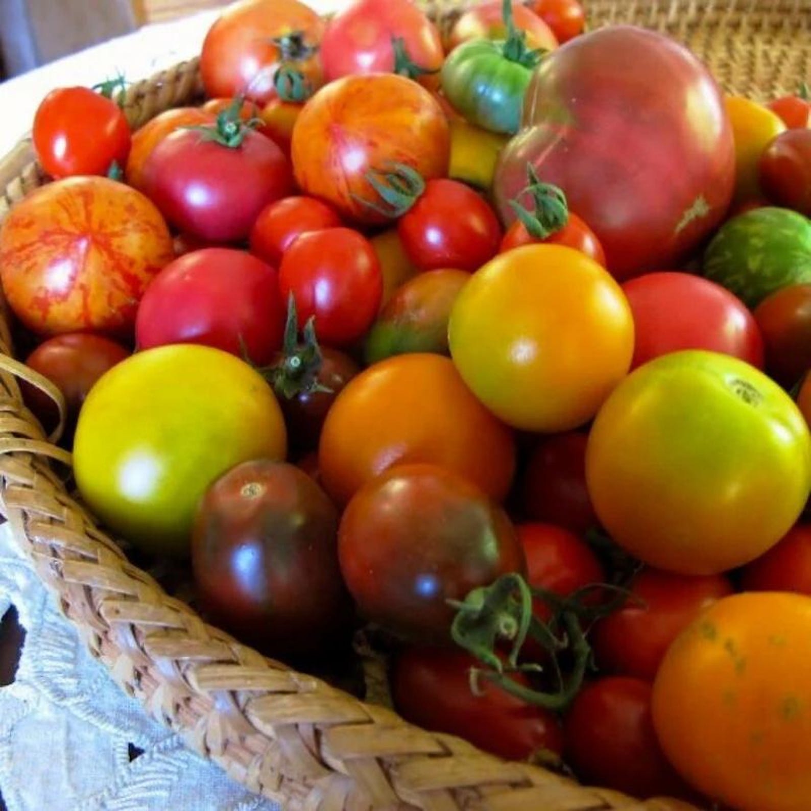 300 Count Heirloom Non-GMO Beefsteak Tomato Seeds High Yield Easy to Grow Large Succulent Fruits for Slicing Cooking Home Gardens Professional Growers