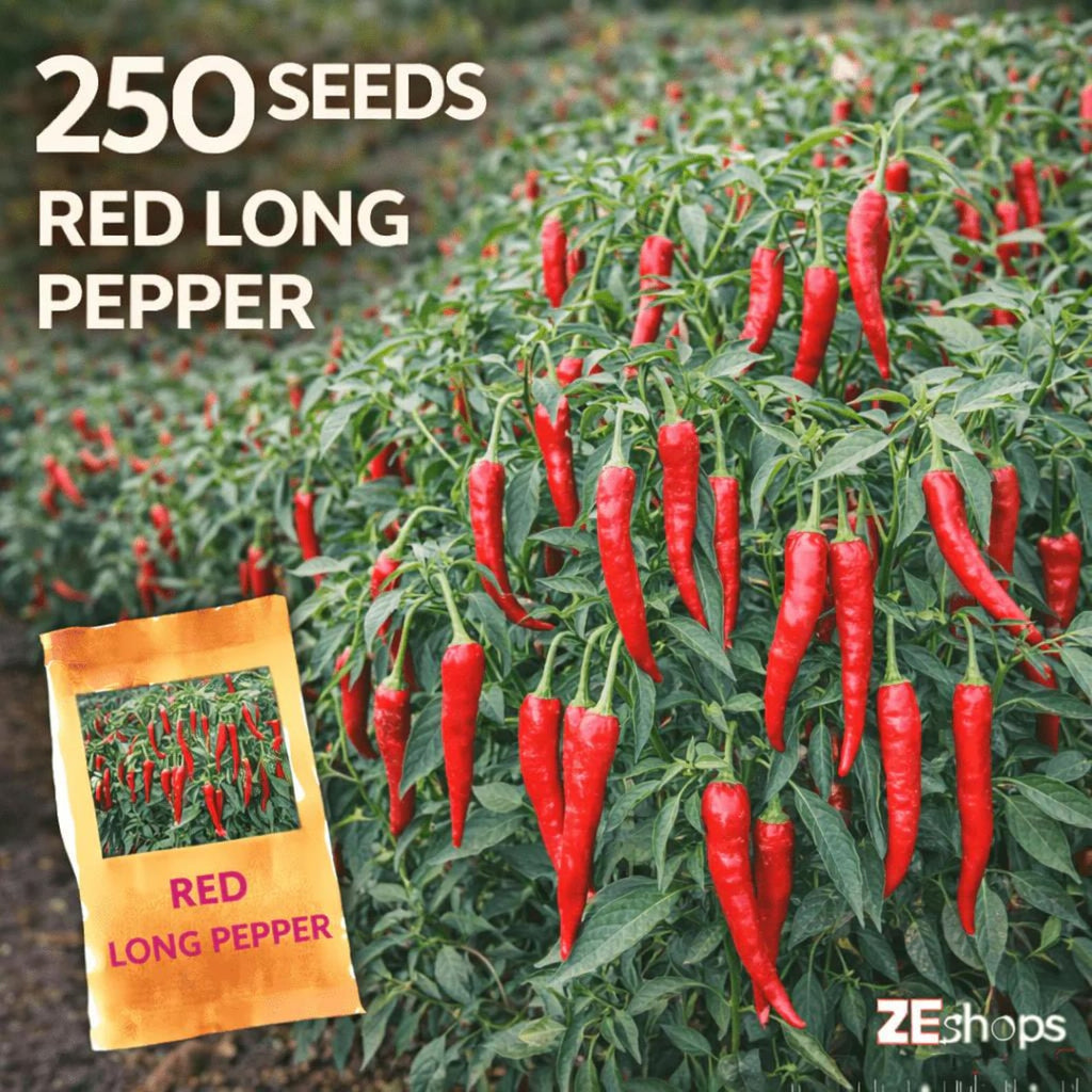 250 Count Organic Heirloom Red Long Hot Pepper Seeds High Yield Easy to Grow Hot Chili Vegetable Seeds for Home Garden Fresh Eating Drying Planting