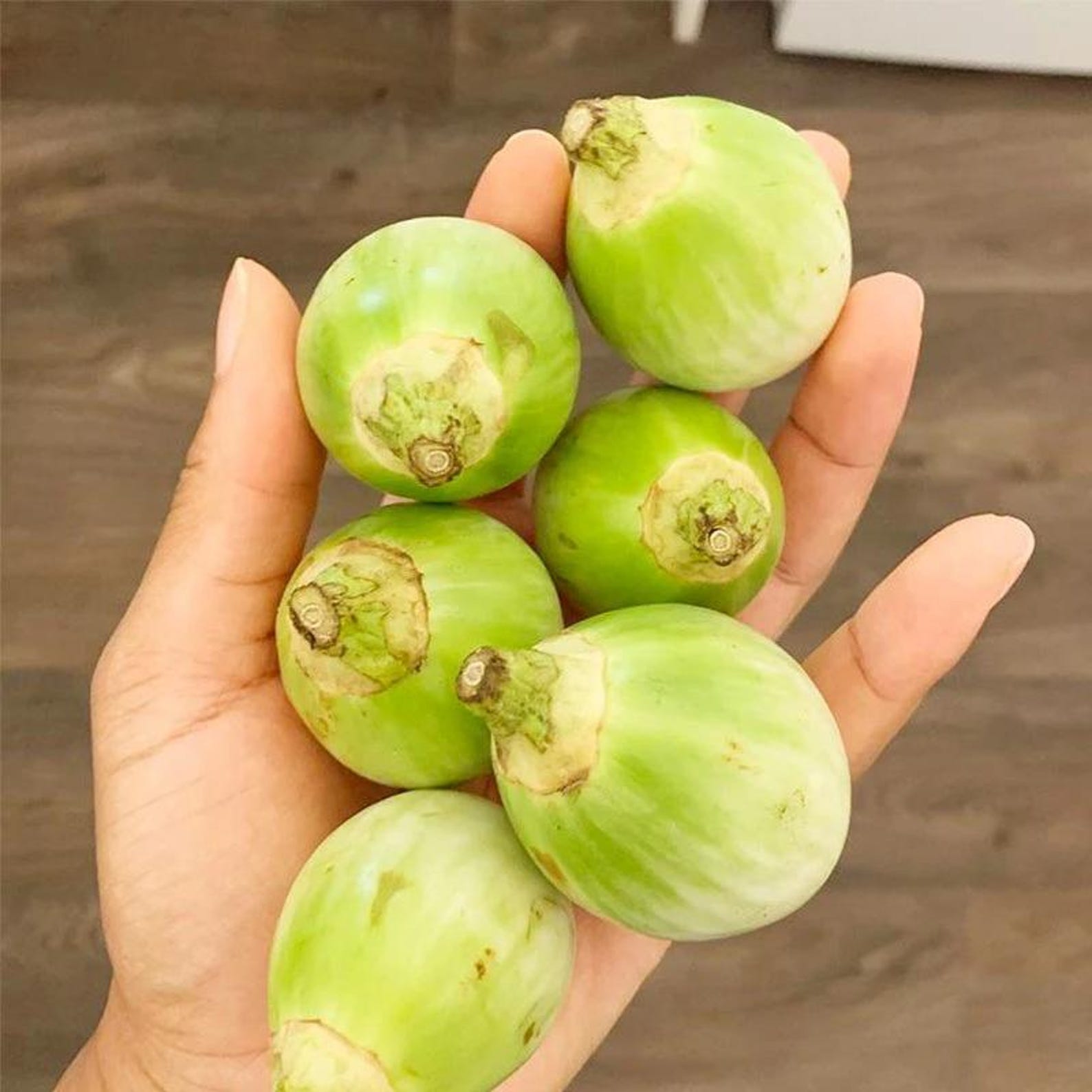 124PCS Organic Heirloom Premium Eggplant Vegetable Seeds Fast Growing Fresh Eating Suitable for Outdoor Home Vegetable Gardens Planting High Yield