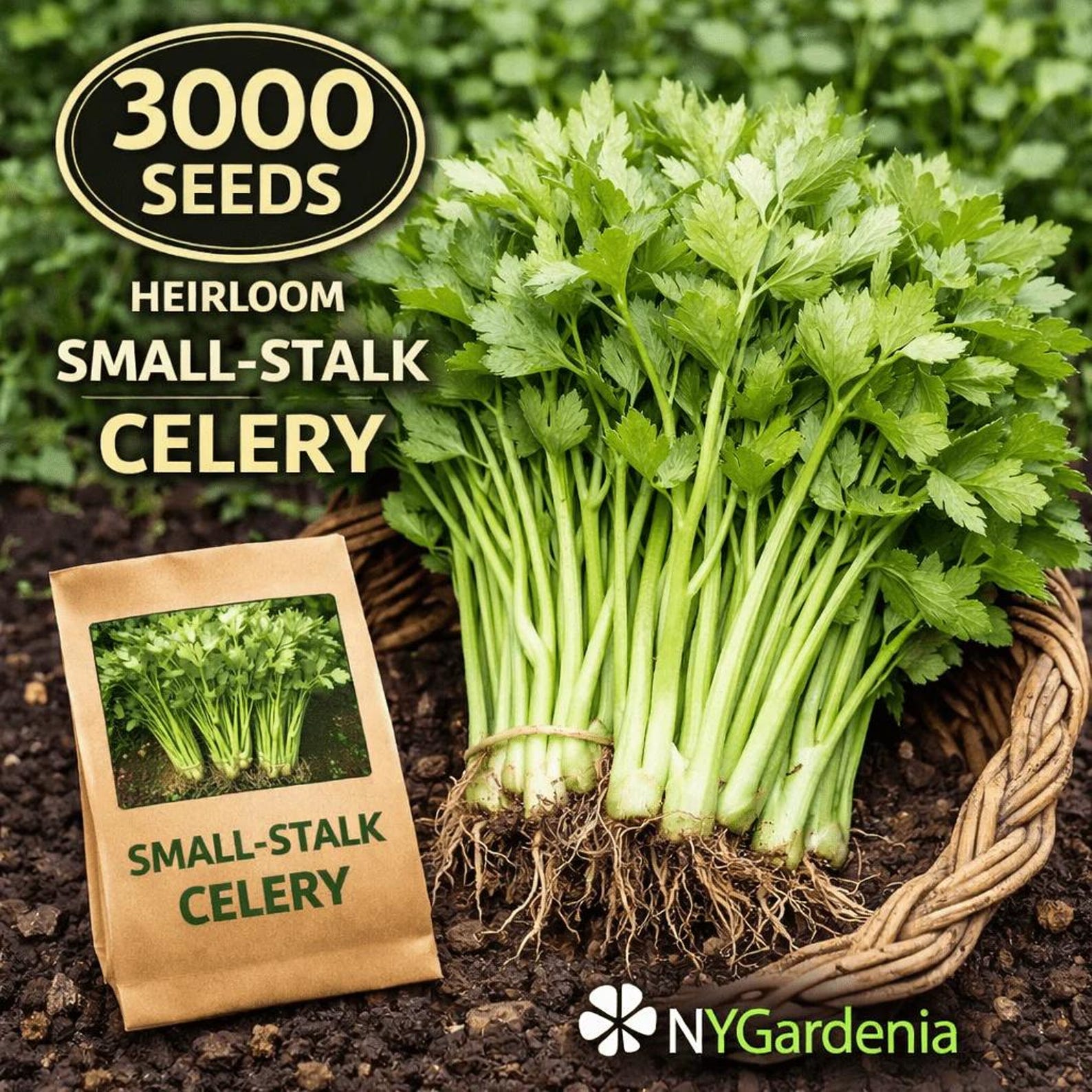 Organic 300 Count Heirloom Small-Stalk Celery Seeds Easy to Grow Non-GMO Fresh Eating Vegetable Seeds for Home Garden Containers Outdoor Planting