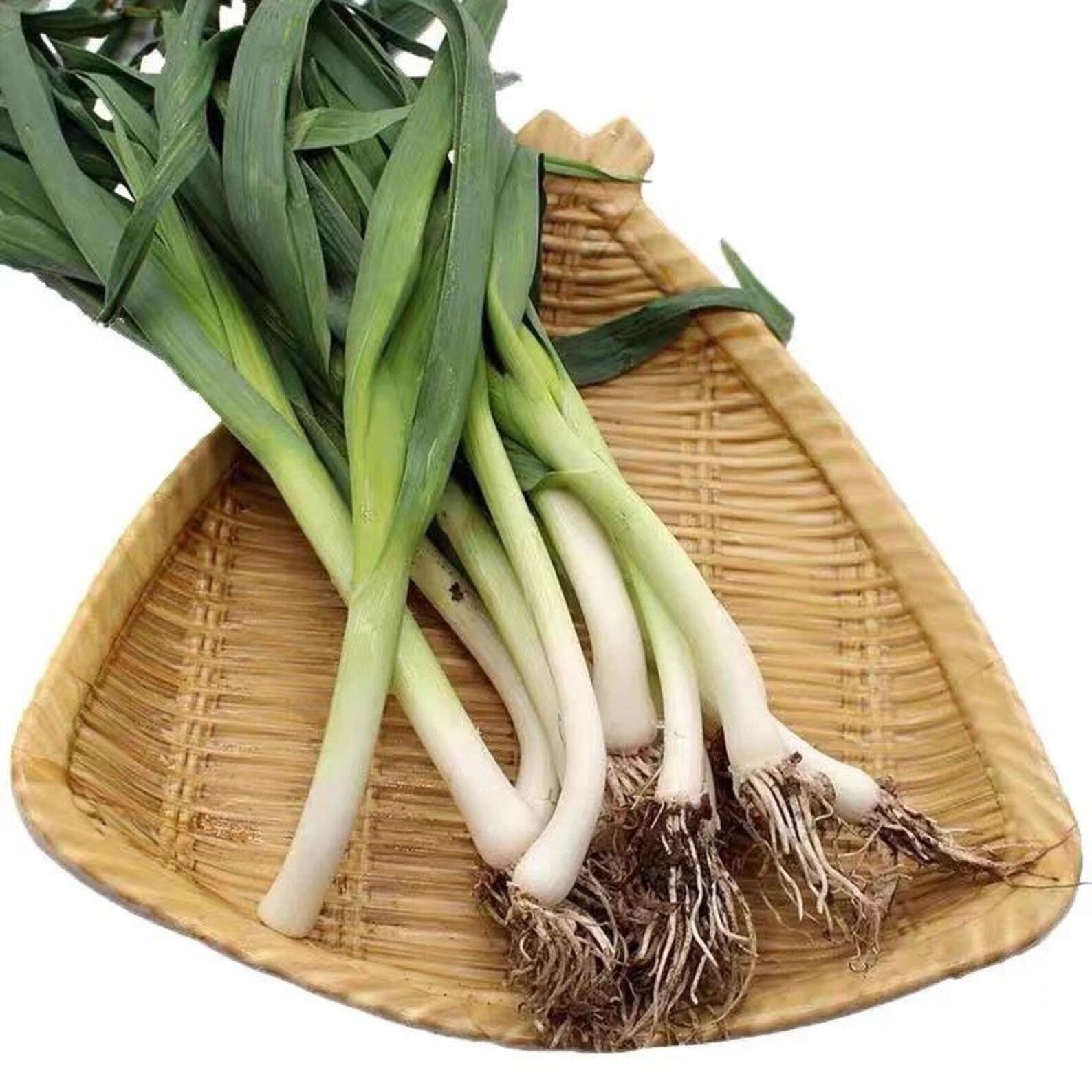 Premium 310 Count High Germination Rate Vegetable Seeds Fast Growing High Yield Easy to Grow for Year Round Planting Container Fields Balcony Home Gardening