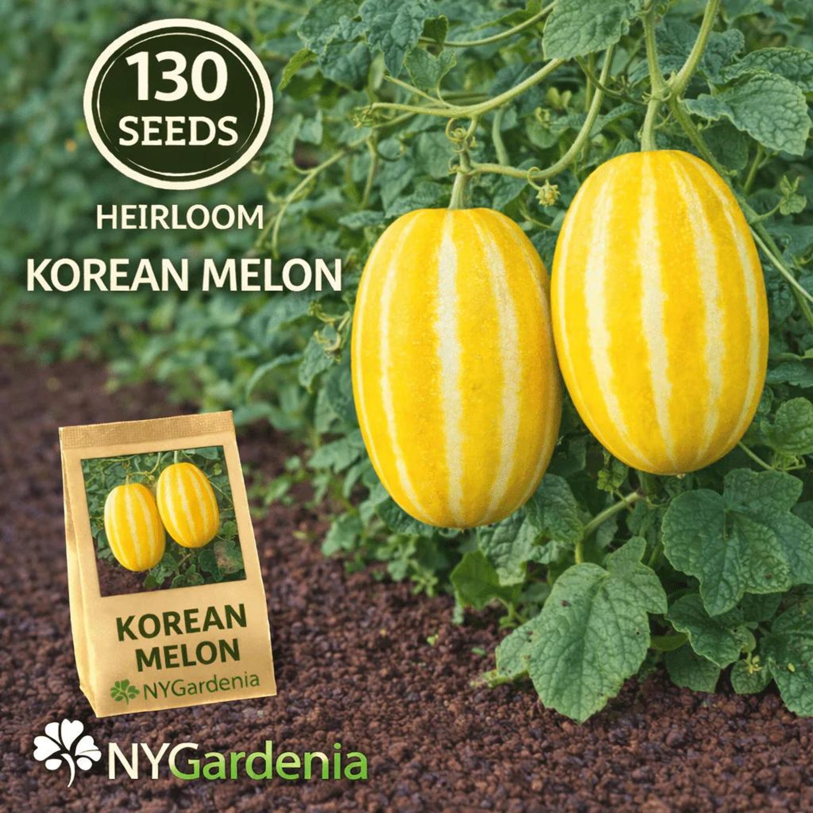 130 Heirloom Sweet Korean Melon Seeds Rare Organic Vegetable Seeds High Yield for Summer Garden Container Planting Trellis Growing