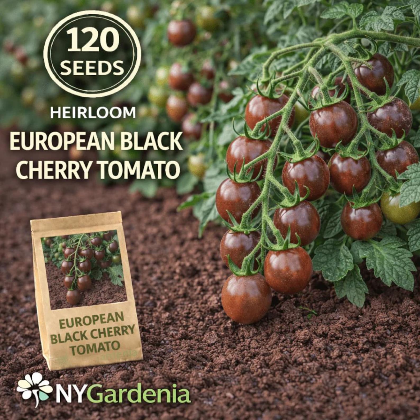 120 Count Heirloom Non GMO European Black Cherry Tomato Seeds Fresh Eating for Container Trellis Outdoor Home Garden Planting Vegetable Seeds