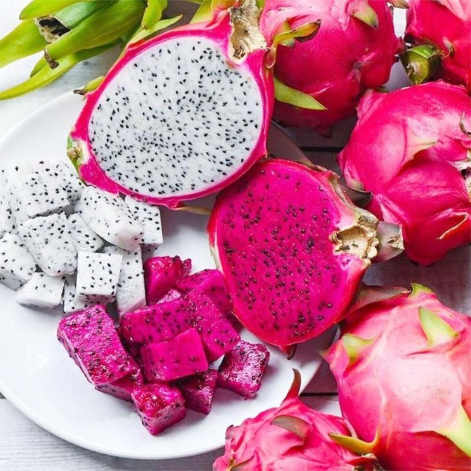 400 Pieces Mixed Heirloom Dragon Fruit Seeds Rare Fast Growing Premium Non-GMO Fruit Seeds with Product Name Label for Home Garden Container Planting
