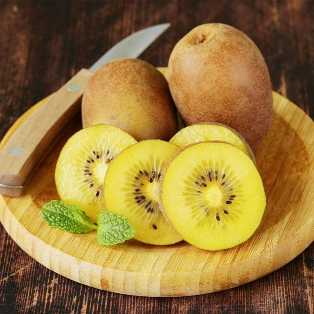1000 Pieces Heirloom Golden Kiwi Gooseberry Seeds Non-GMO High-Yield Premium Non-GMO Fruit Seeds for Home Garden Growing Delicious Sweet Fresh Fruits Eating