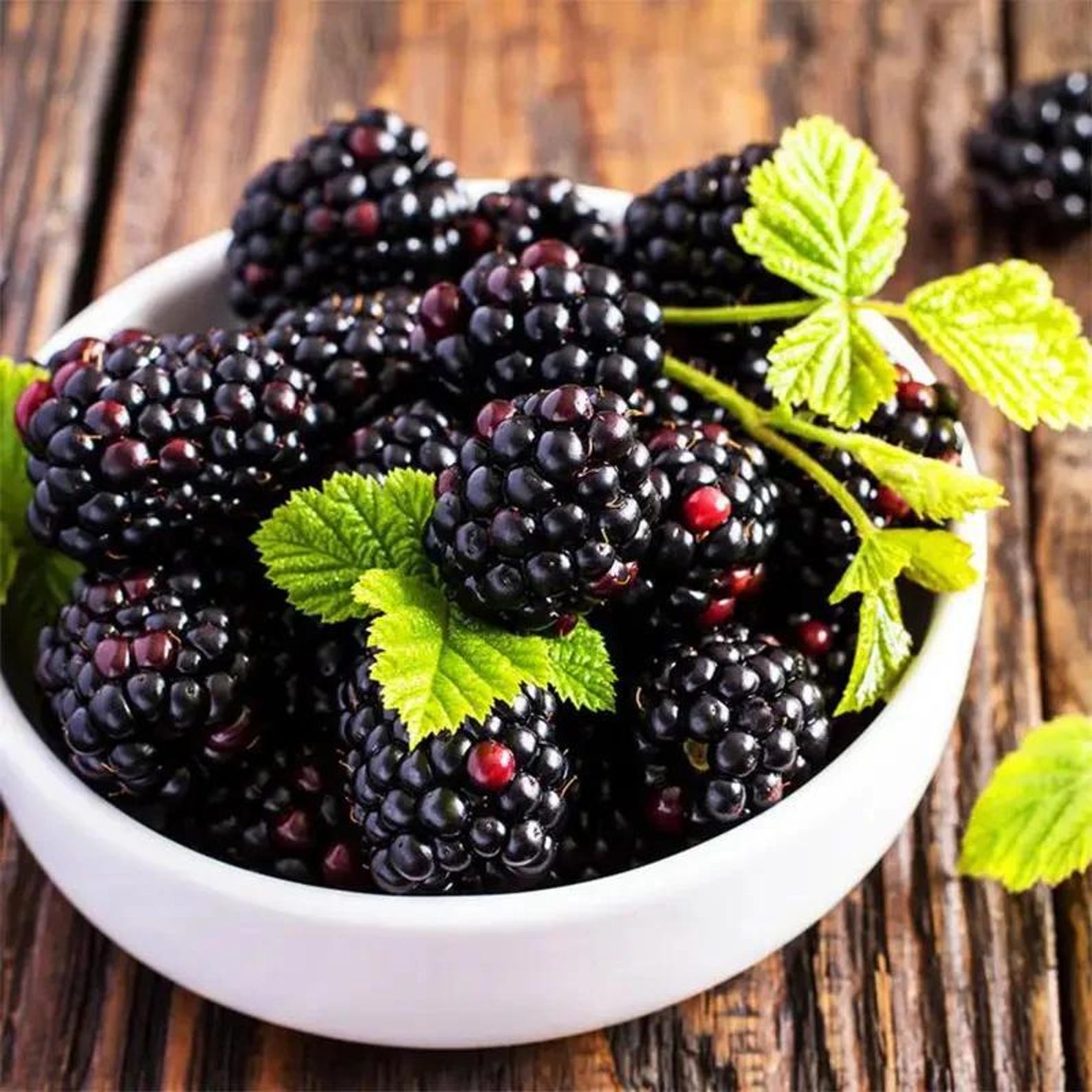 110 Count Organic Non-GMO Heirloom Thornless BlackBerry Seeds Open-Pollinated High Yield Juicy Sweet Perennial for Home Garden Fresh Eating