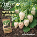225 Count Premium Heirloom Non-GMO Organic Snow Pearl Strawberry Seeds High Yield Easy to Grow Vegetable Seeds for Home Garden Container Planting