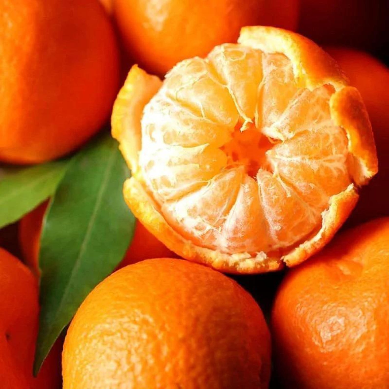 132 PCS Organic Non-GMO Heirloom Sweet Orange Fruit Tree Seeds High Yield Easy to Grow Suitable for Outdoor Garden and Indoor Pot Planting Home Garden