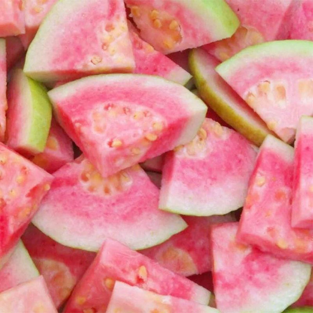 100 Count Rare Fast Growing Guava Fruit Tree Seeds Non-GMO Vegetable Seeds for Container Planting Home Garden Fresh Eating