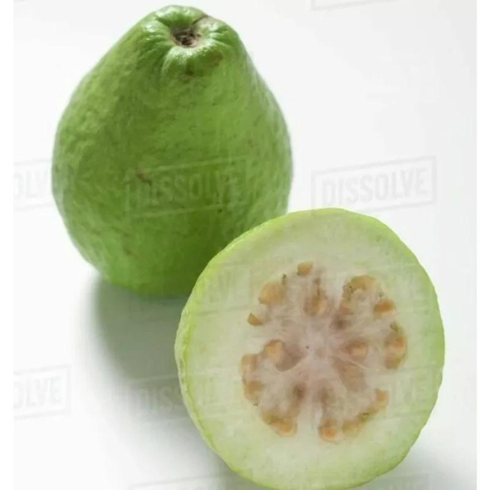 124 Pieces Dwarf Super Sweet Nano Guava Seeds Heirloom Organic Open Pollinated Easy Growing for European American British Climates Home Garden