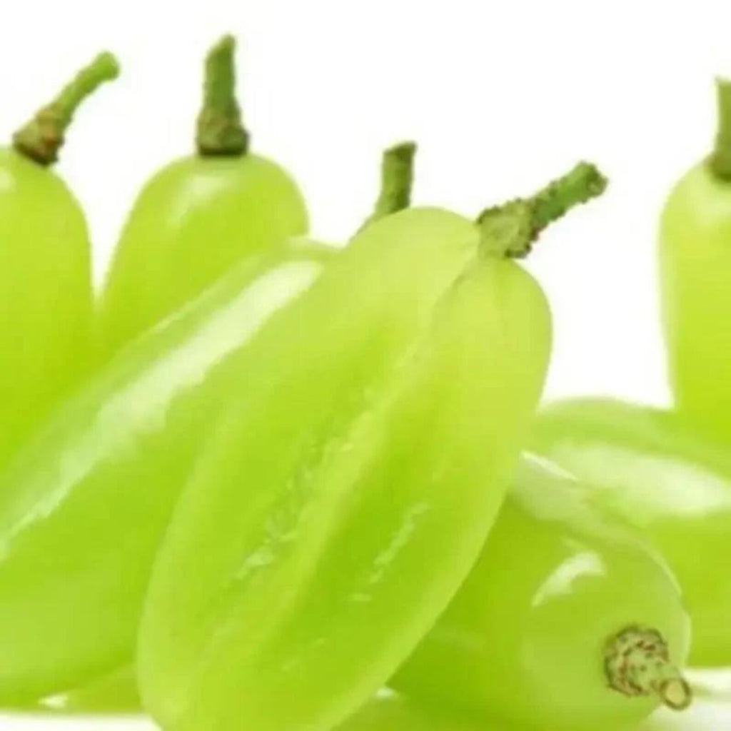 58 Pieces Premium Organic Traditional Variety Rare Finger Grape Seeds Open-Pollinated Sweet Fruit Seeds Fast Growing Easy to Grow for Home Garden Planting