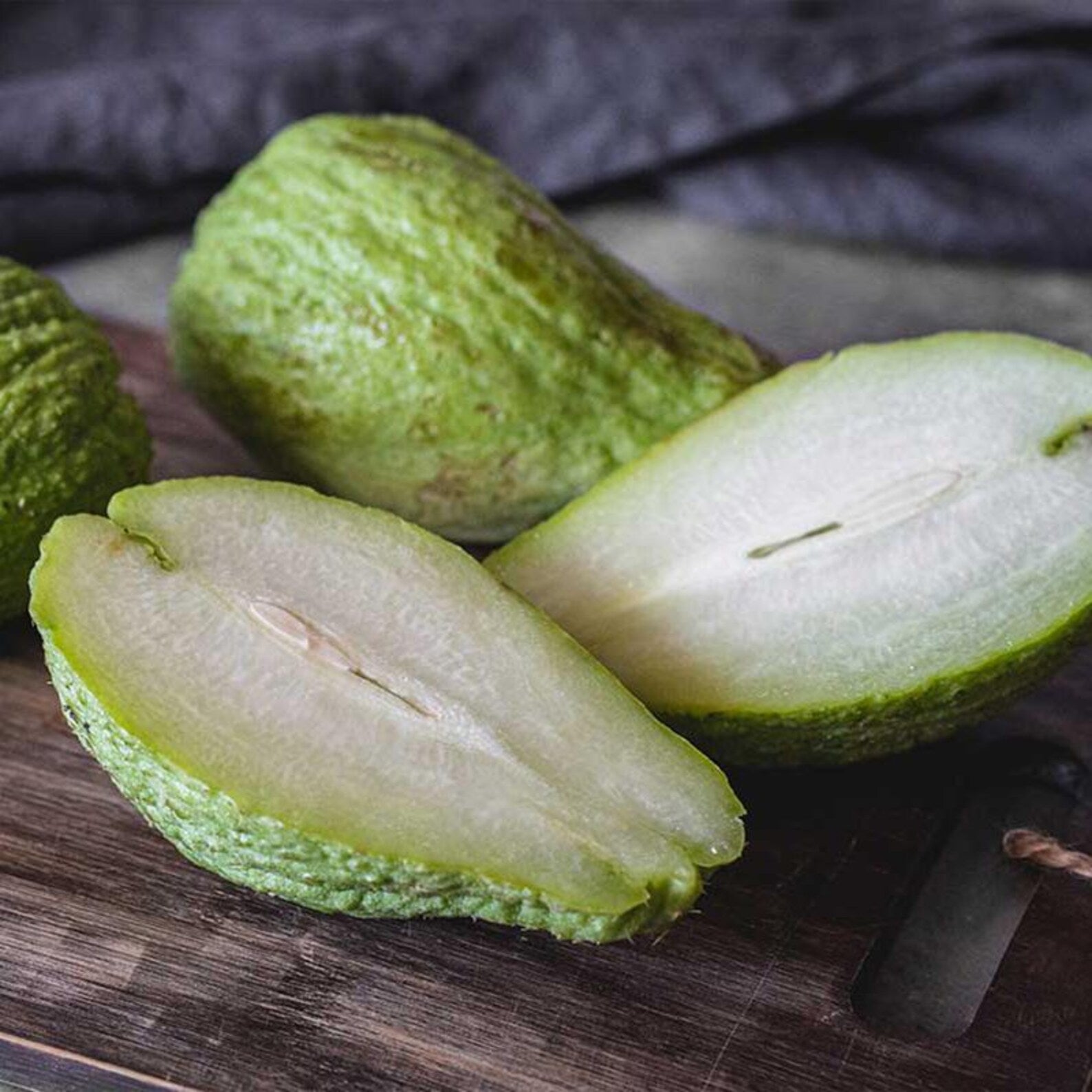 80 Count Non-GMO Premium Chayote Seeds Fast Growing Easy to Grow High Yield Tropical Climbing Vine Vegetable Seeds for Fresh Eating Home Garden